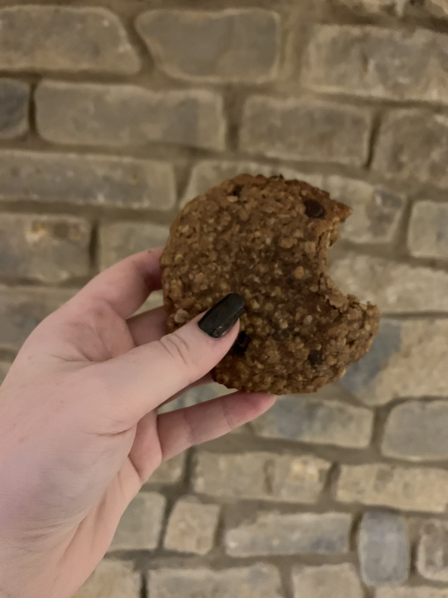 Oatmeal Chocolate Chip Lactation Cookies | ElenaBjxrn.com